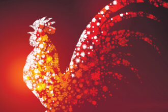 Nors Naujuosius jau kadaise pasitikome, atšventėme ir pamiršome, pagal kinų kalendorių 2017-ieji prasidėjo tik dabar, sausio 28 dieną, ir baigsis kitų metų vasario 15-ąją.