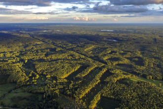 Dar prieš kelis šimtmečius Lietuvos miškai atrodė kiek kitaip – juose knibždėte knibždėjo gyvūnų, kuriuos dabar dažniau išvysi nelaisvėje.