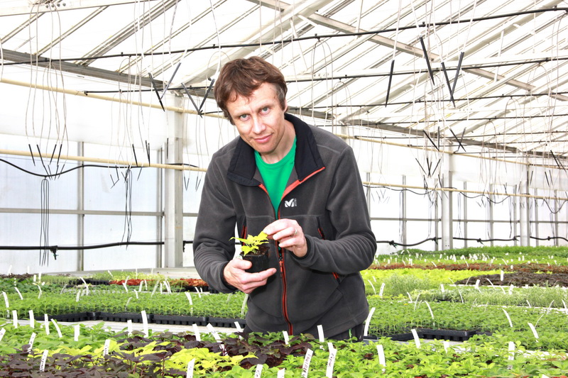 Simas Zareckas. ASU.LT nuotrauka