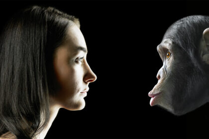 Evoliucionizmas šiandien – pagrindinė biologijos teorija, bet prieš 160 metų, kai Čarlzas Darvinas paskelbė savo darbą apie rūšių kilmę, ji tebuvo tik hipotezė – ir dar ne itin tinkama aptarinėti padorioje draugijoje.