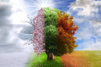 Jeigu ne mūsų svirduliuojanti planeta, neturėtume keturių skirtingų sezonų. O be jų nebūtų ir tokios gyvūnų įvairovės, stulbinančios savo gebėjimu prisitaikyti nuolat besikeičiančioje gamtoje – kaip, pavyzdžiui, bitės ar dvikvėpės žuvys.