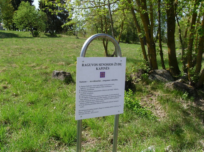 Raguvos pakraštyje esančiųjų senųjų žydų kapinių liko tik pusė iš kadaise buvusiųjų. Dalis paminklų išvežti čia nusprendus laidoti per Antrąjį pasaulinį karą žuvusius sovietų karius. PRS nuotr.
