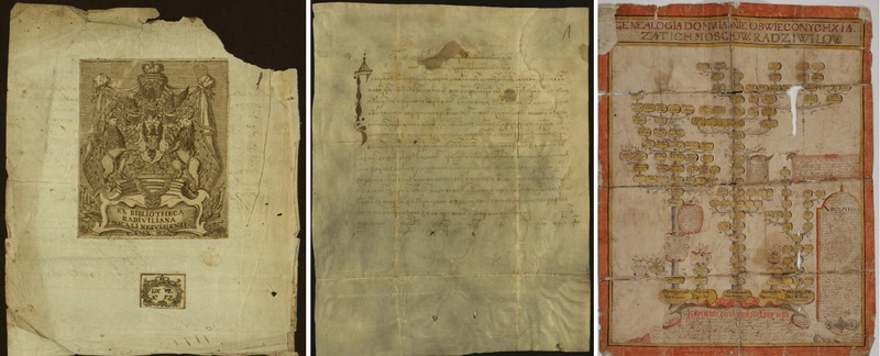 2009-aisiais UNESCO tarptautiniame registre „Pasaulio atmintis“ atsidūrė oficialiu LDK archyvu pripažįstama Radvilų giminės dokumentų kolekcija. Nuotraukoje kairėje – kunigaikščių Radvilų Nesvyžiaus dvaro bibliotekos ekslibrisas, viduryje – XV amžiaus antros pusės Lenkijos karaliaus ir Lietuvos didžiojo kunigaikščio Kazimiero raštas Liutaurui Chreptavičiui dėl Derevna dvaro Naugarduko paviete, dešinėje – 1666 metais datuojamas Radvilų giminės genealoginis medis, su legendine dalimi nuo XII amžiaus pabaigos apimantis 21 kartą. LIETUVOS VALSTYBĖS ISTORIJOS ARCHYVO nuotr.