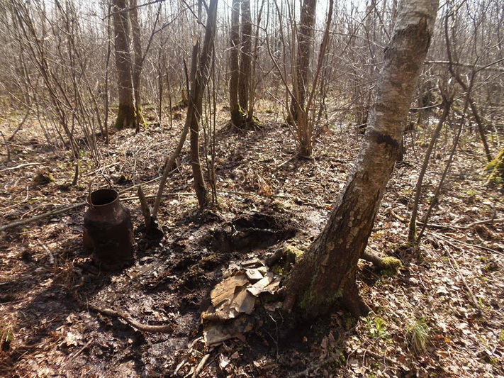 Sąlygos, kuriomis randami partizanų archyvai, verčia stebėtis, kaip restauratoriams pavyksta išsaugoti dokumentus. Nuotraukoje – Tauro apygardos Žalgirio rinktinės Dariaus ir Girėno tėvūnijos štabo archyvo radymvietė. LIETUVOS YPATINGOJO ARCHYVO nuotr.