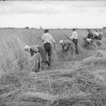 Kadras iš A. Gilvydžio archyvo. LCVA KINO DOKUMENTŲ SKYRIAUS nuotr.