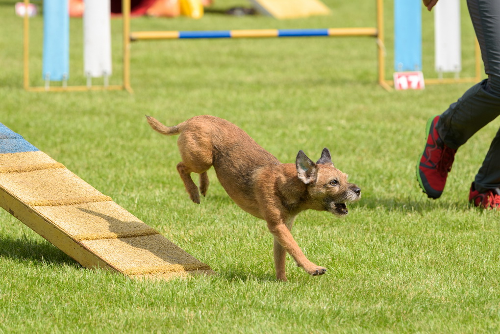 G. KARALIŪNAITĖS nuotr.