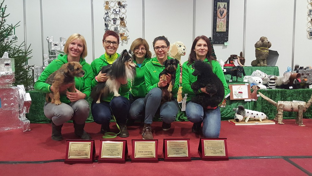 Šunų vikrumo varžybomis Jūratė susižavėjo neplanuodama jose dalyvauti, tačiau džiaugiasi pakeitusi nuomonę. ASMENINIO ALBUMO nuotr.