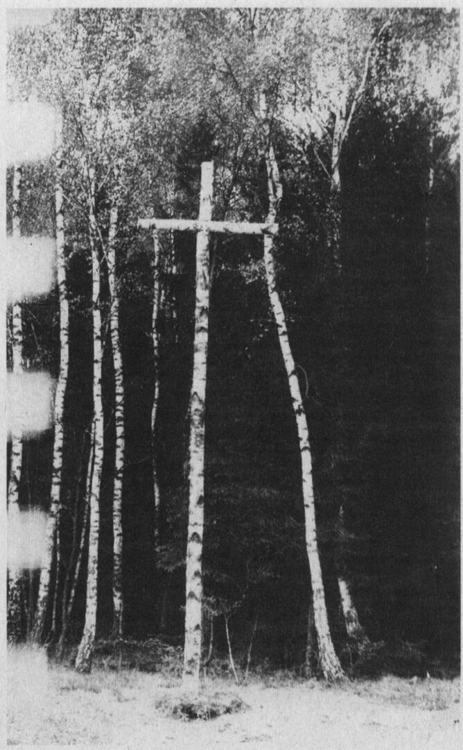Tarp Eucharistijos bičiulių grupelių visoje Lietuvoje gana populiaru buvo kaip pasipriešinimo santvarkai ženklus statyti kryžius (nuotraukoje – Stirniškių miške Vilkaviškio rajone 1981 metų gegužės 15-osios naktį iškilęs kryžius). LKBK.LT ARCHYVŲ nuotr.