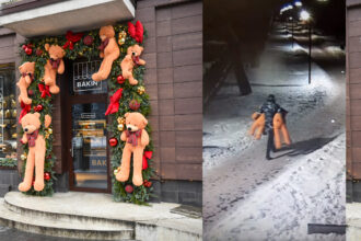 Panevėžyje, J. Basanavičiaus gatvėje esančios kepyklėlės duris puošusių meškinų vagiui didesnę nei policija gėdą padarė jo mylimosios mama.