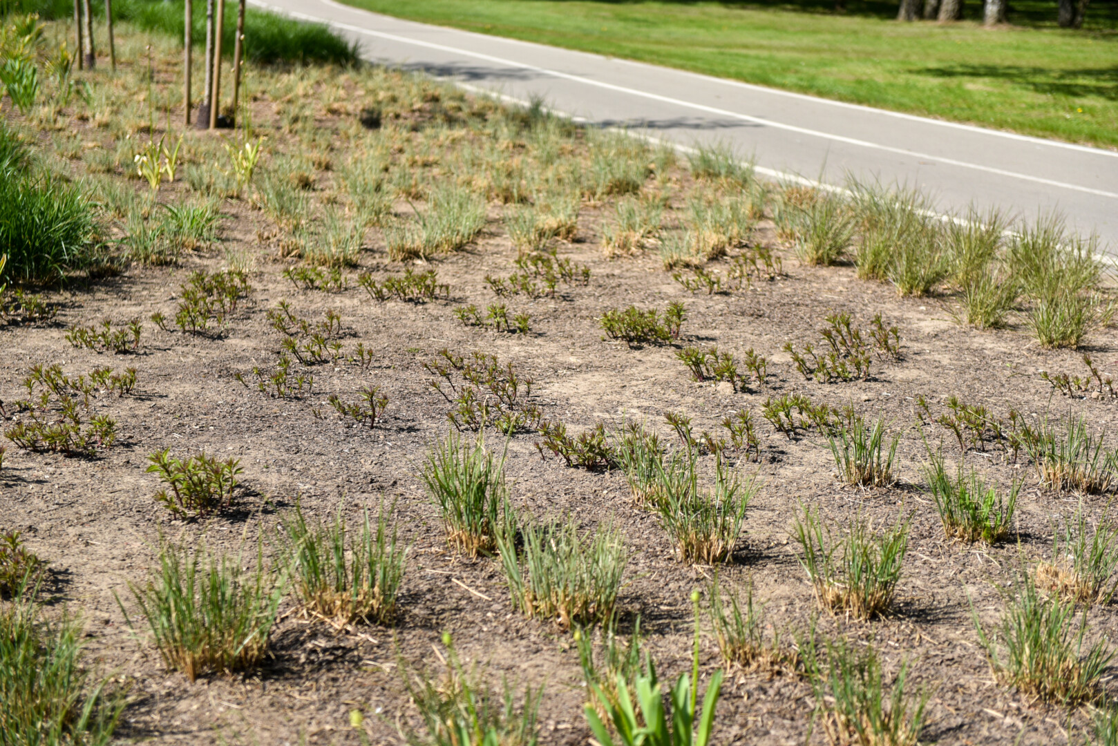Sausra jau daro savo: miesto gatvėse vietomis purvas taip pridžiūvo, kad net valymo automobilių šepečiai jo nebenugrando. P. ŽIDONIO nuotr.