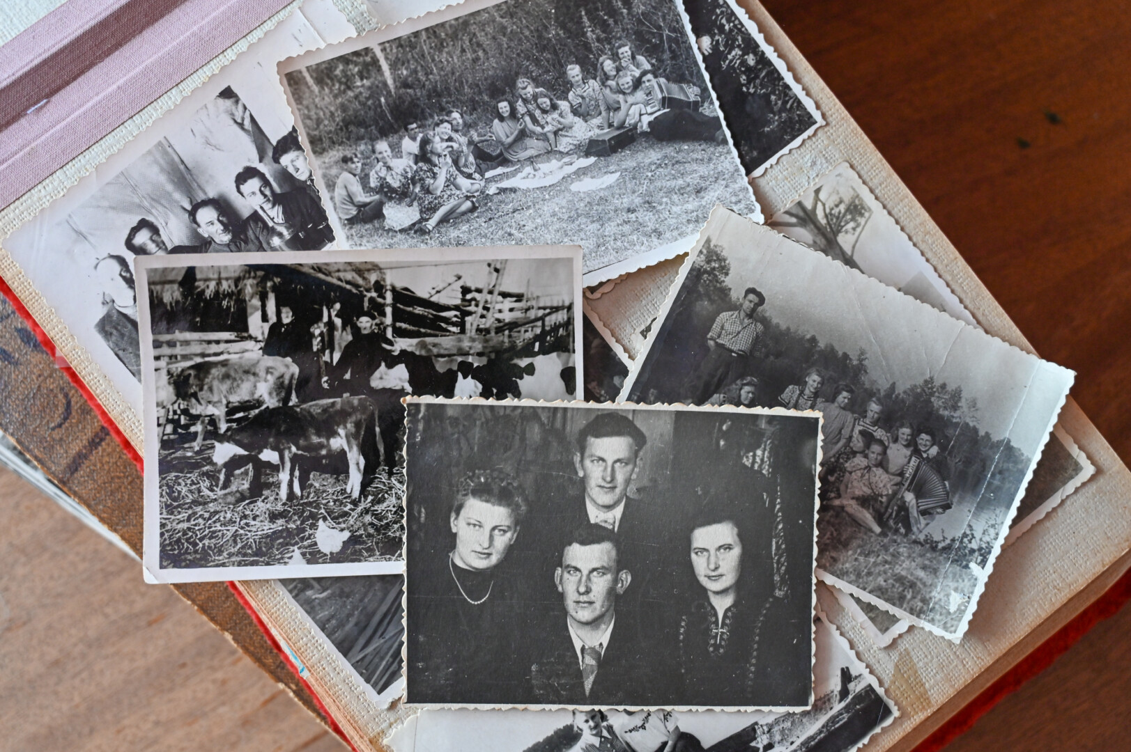 Sovietai iš Bakšių šeimos atėmė viską, kas ūkininkų buvo sunkiu darbu uždirbta, – kaip ir daugelis, sugrįžę į Lietuvą, nebeturėjo net namų. P. ŽIDONIO nuotr.