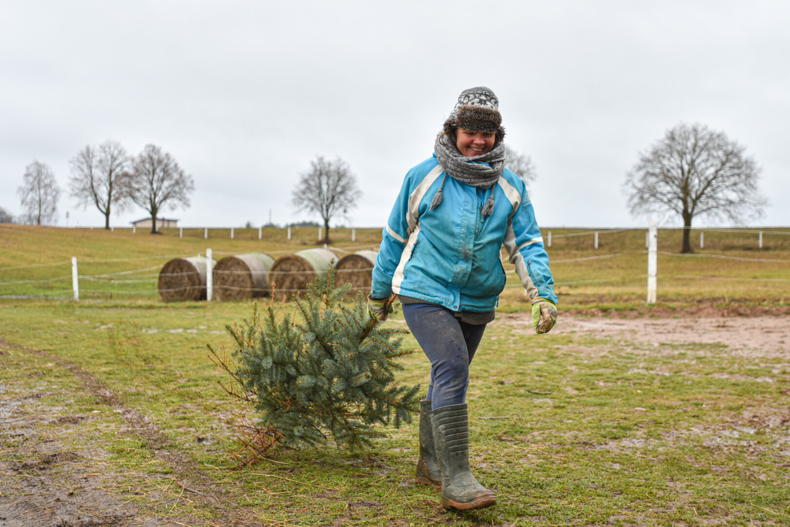 Kai baigiasi šventės žmonėms, prasideda puota žirgams – nupuoštos eglutės jiems ir gardėsis, ir žaislas. P. ŽIDONIO nuotr.